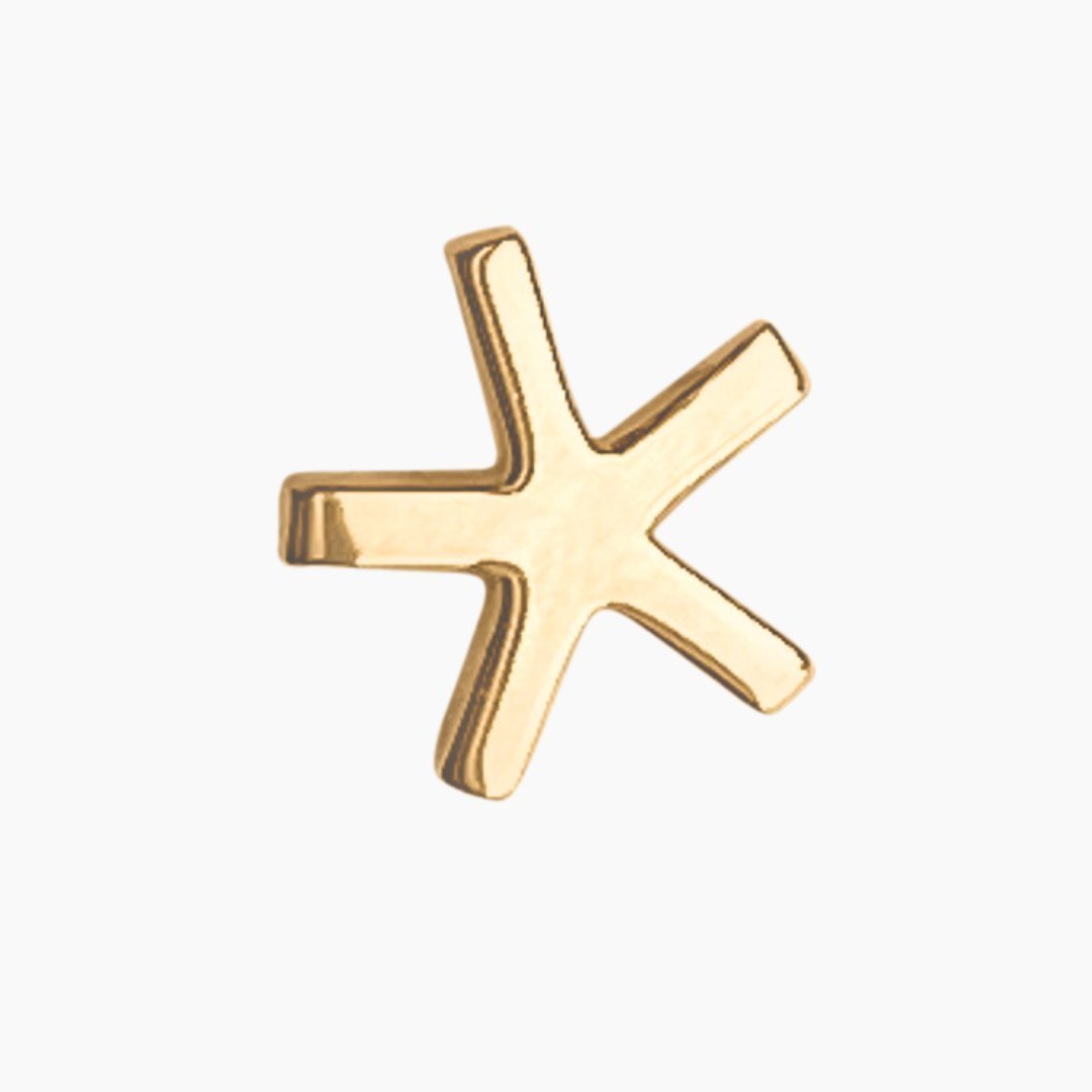 14k Gold Asterisk Earrings | mazi + zo jewelry
