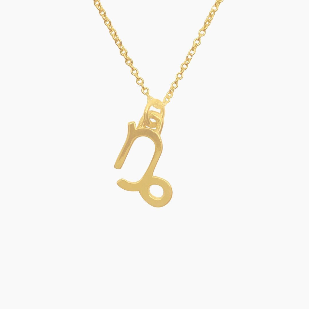 14k Gold Capricorn Sign Necklace | Zodiac Necklace | Horoscope Jewelry | mazi + zo