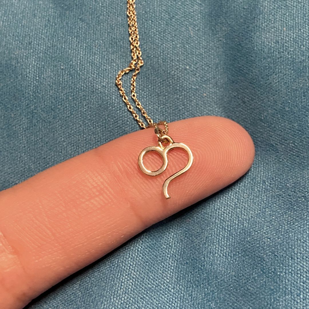 14k Gold Leo Sign Necklace | Zodiac Necklace | Horoscope Jewelry | mazi + zo