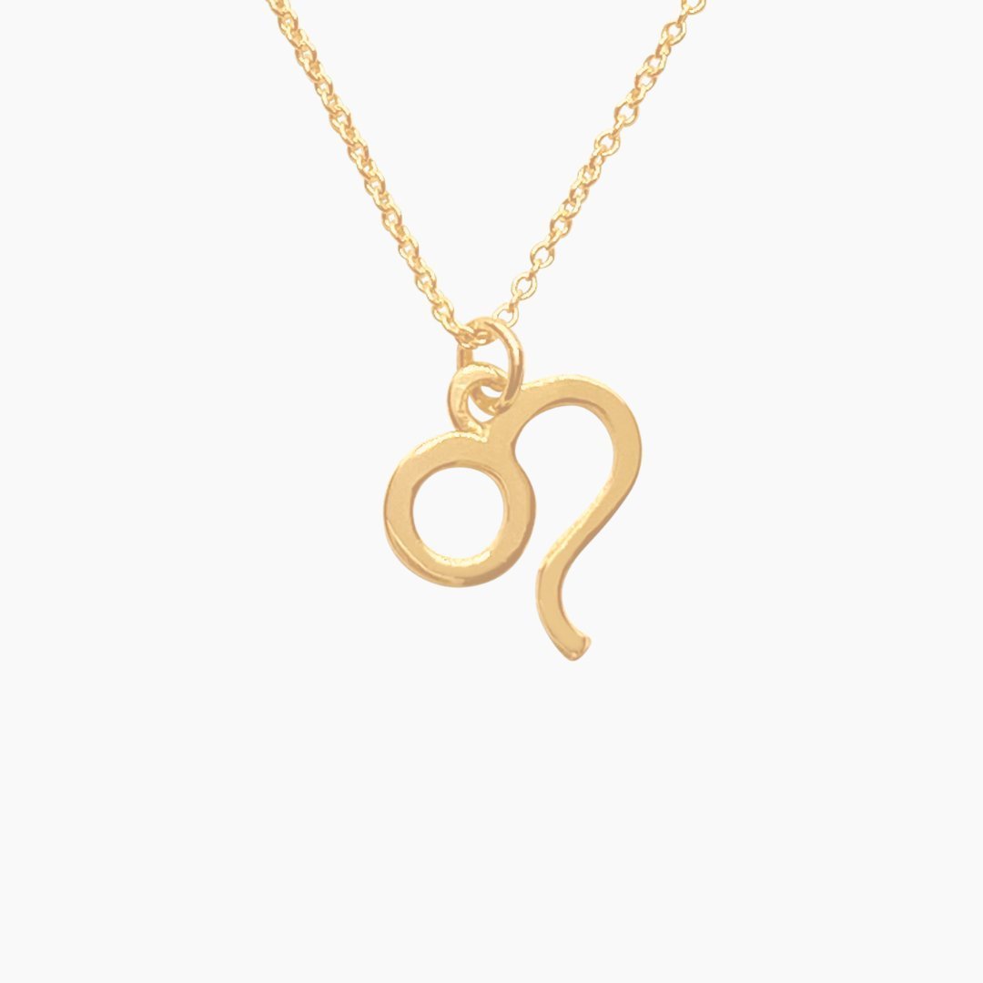 14k Gold Leo Sign Necklace | Zodiac Necklace | Horoscope Jewelry | mazi + zo