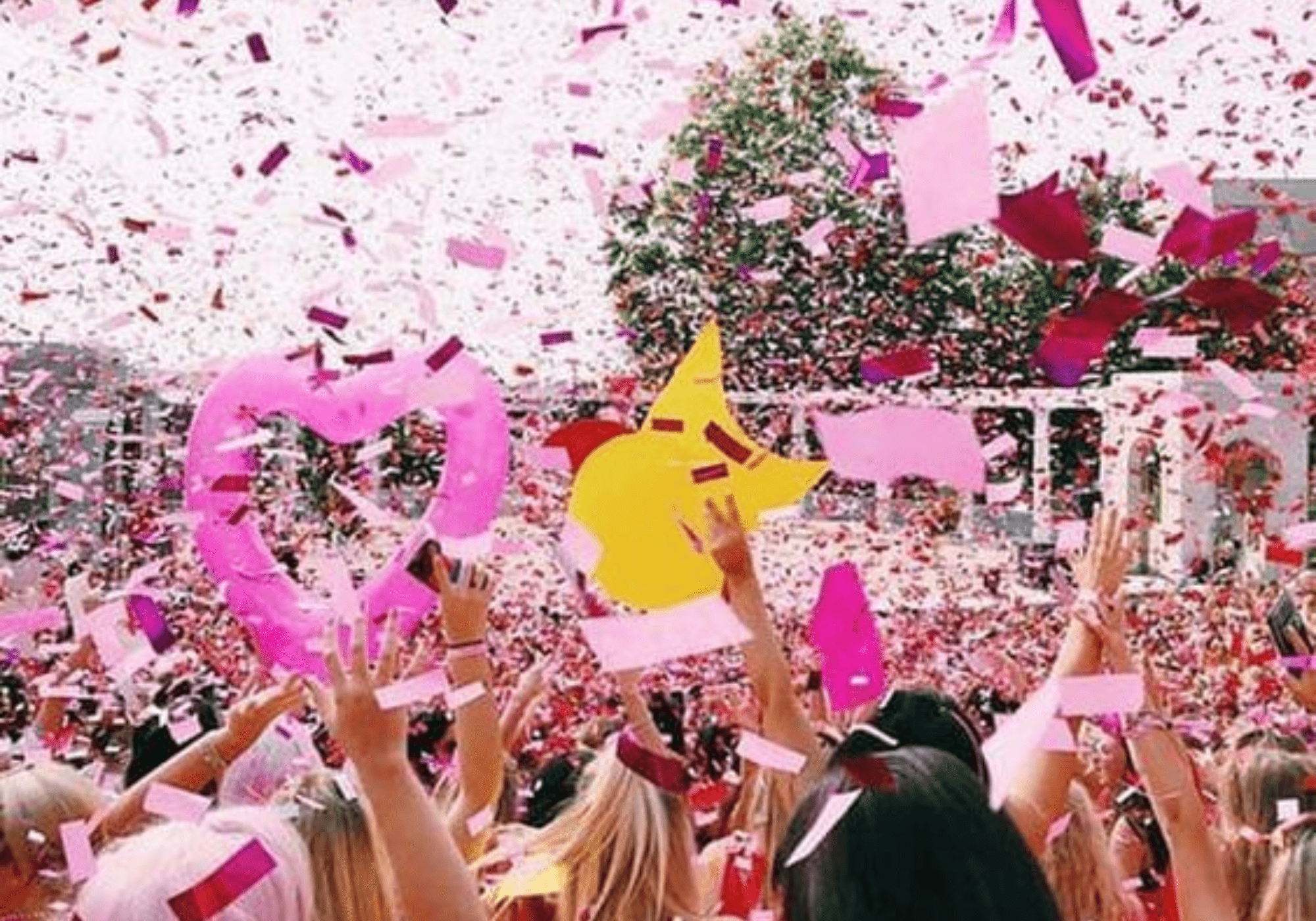 What Is a Suicide Bid in Sorority Recruitment?