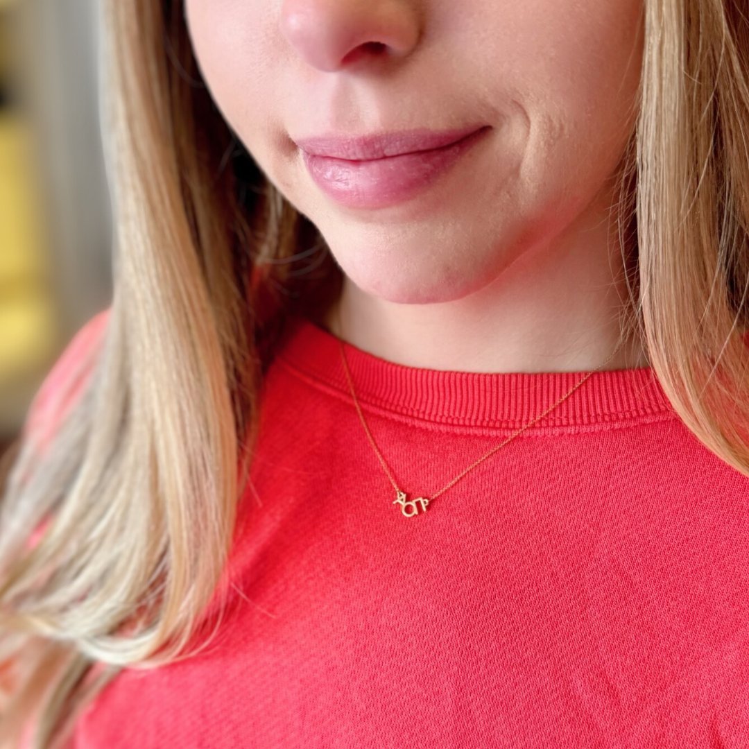 14k Gold Alpha Omicron Pi Necklace | mazi + zo sorority jewelry