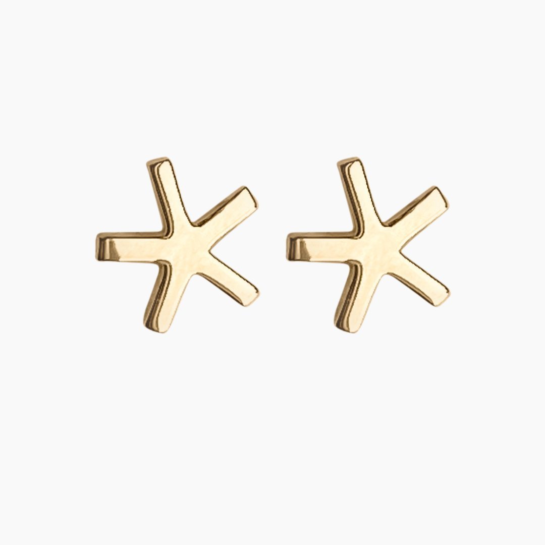 14k Gold Asterisk Earrings | mazi + zo jewelry
