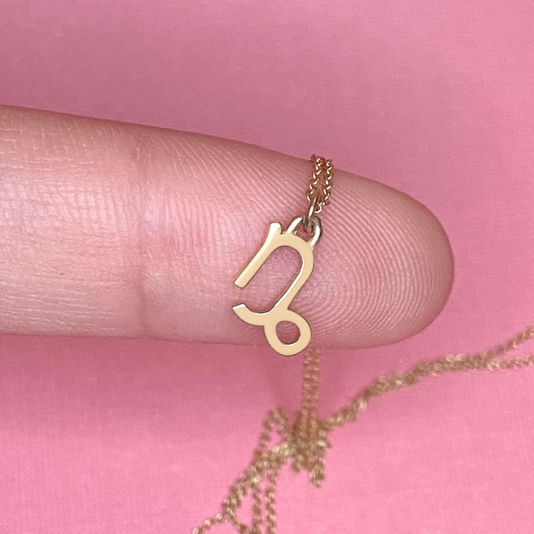 14k Gold Capricorn Sign Necklace | Zodiac Necklace | Horoscope Jewelry | mazi + zo