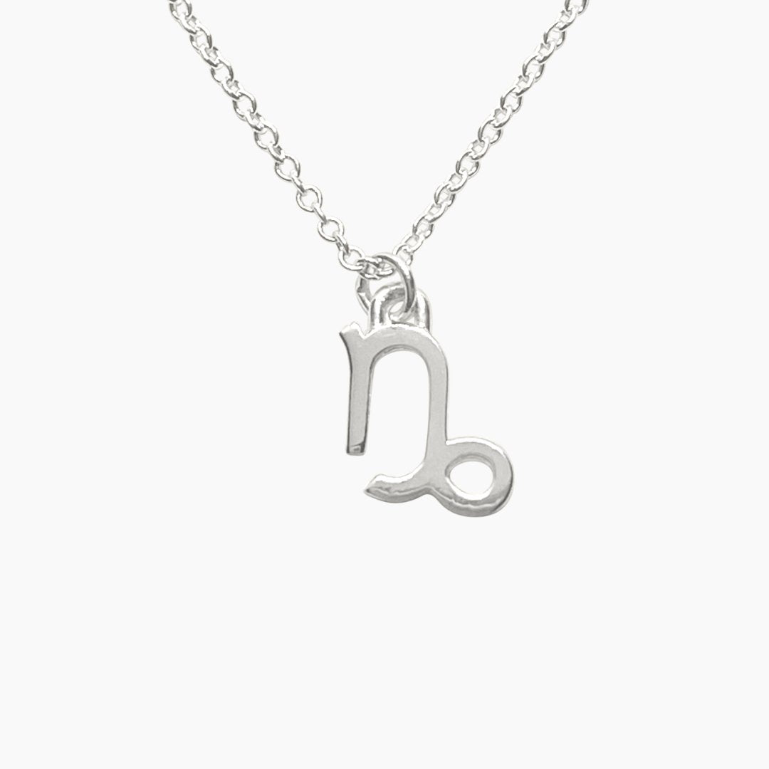 Sterling Silver Capricorn Sign Necklace | Zodiac Necklace | Horoscope Jewelry | mazi + zo