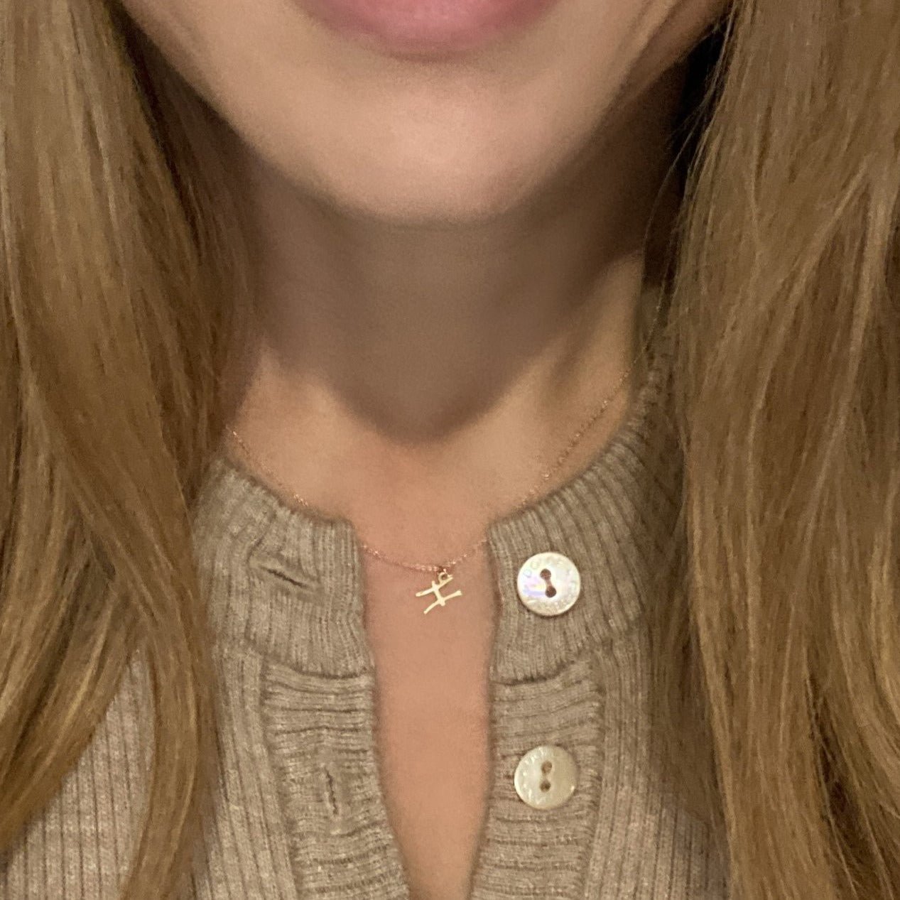 14k Gold Pisces Sign Necklace | Zodiac Necklace | Horoscope Jewelry | mazi + zo